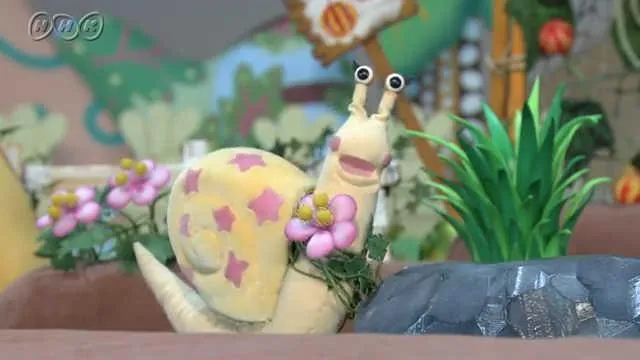 Eggs, larva, pupa, adult.